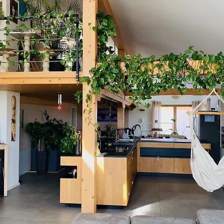 Exklusives Wohnen Im Herzen Bayerns - Luxurioses Haus Mit Dachterrasse Und Whirlpool, Nahe Passau * Windorf (Passau)